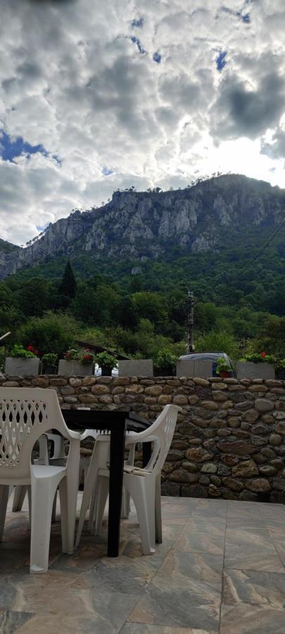 Casa Narcisa Otel Băile Herculane Dış mekan fotoğraf