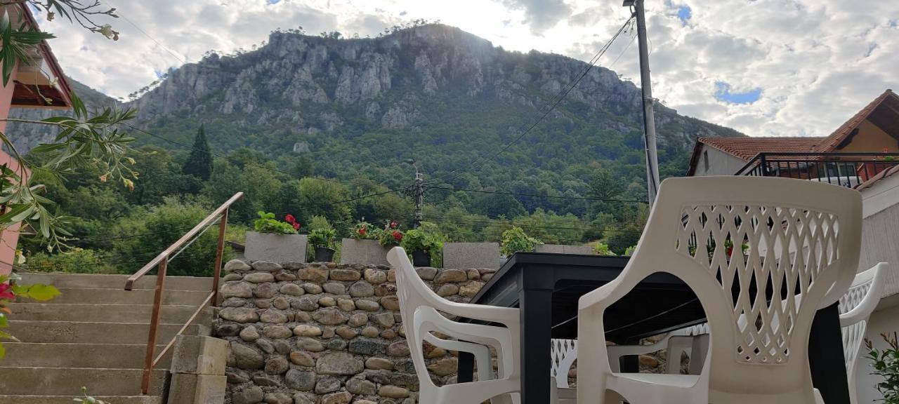 Casa Narcisa Otel Băile Herculane Dış mekan fotoğraf